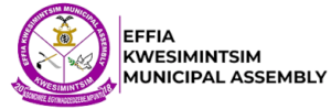 Effia kwesimintsim Municipal Assembly 087