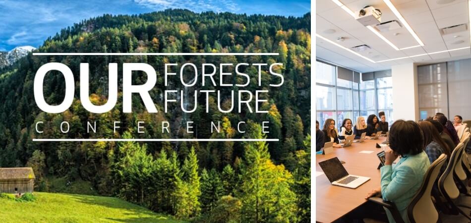 What to Expect from Forestry Conference