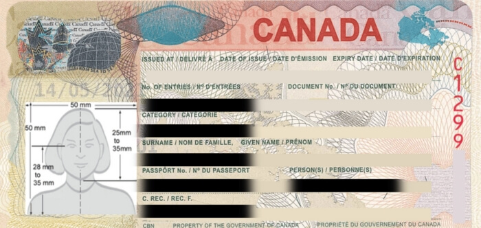 Brief Summary of a Canadian Conference Visa