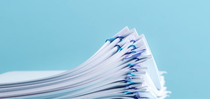 A Quick Overview of the Conference Paper