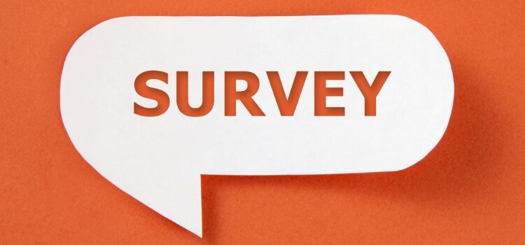 Types of Survey Papers You Can Publish at the Conference