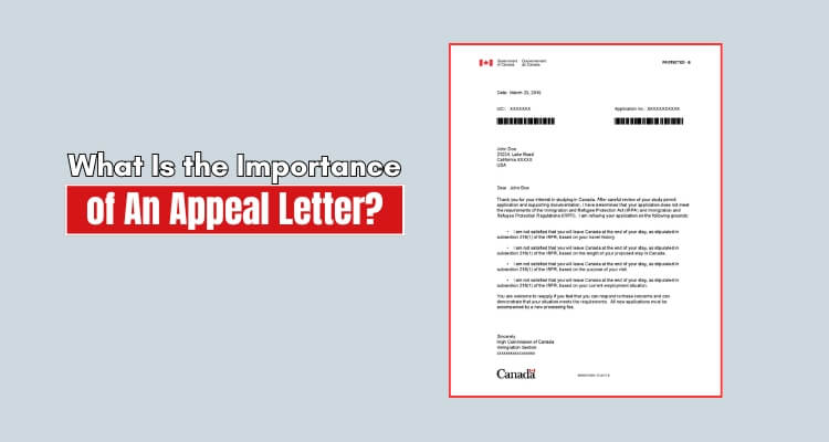 What Is the Importance of An Appeal Letter