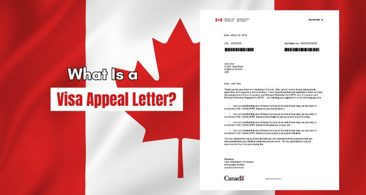 What Is a Visa Appeal Letter