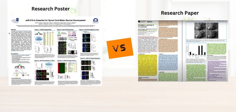 What Is the Difference Between a Research Paper and a Research Poster